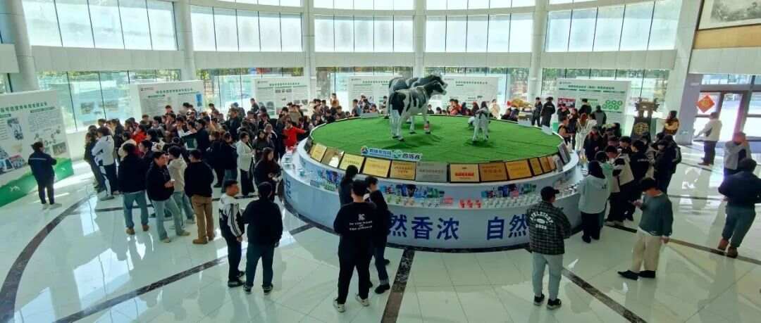 来利国际旗舰厅(中国)官方网站